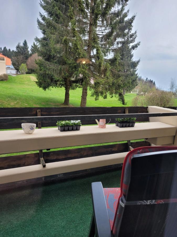 Ryan Apartament Mit Netflix Sankt Englmar Zewnętrze zdjęcie